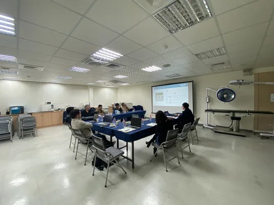 gallery